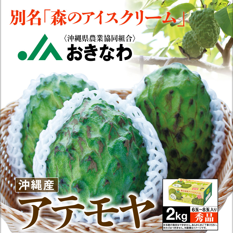 秀品 ギフト JAおきなわ 沖縄産 アテモヤ 6〜8玉 2kg 1箱 ギフト トロピカルフルーツ