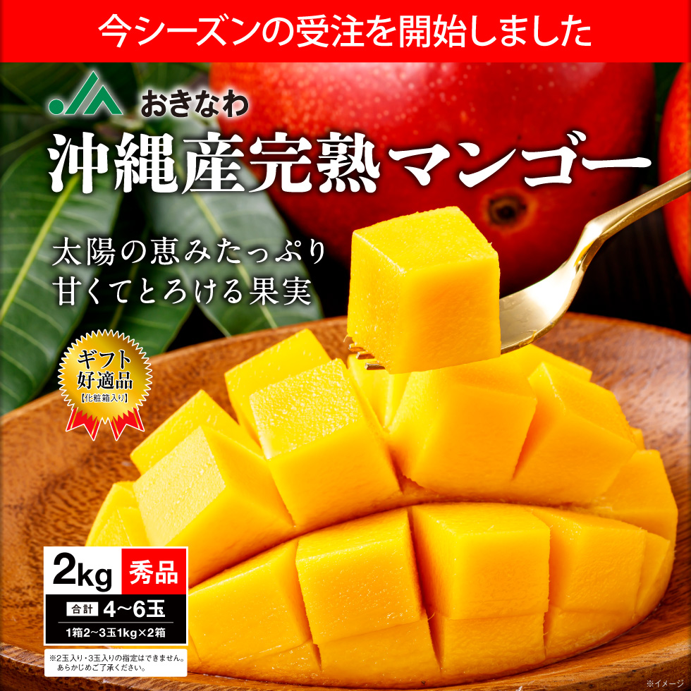 沖縄県産マンゴーファーストビュー