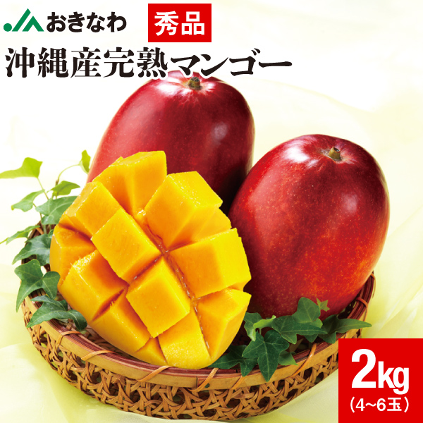 ポイント2倍) マンゴー 沖縄 秀品 JAおきなわ ギフト 1kg 完熟マンゴー