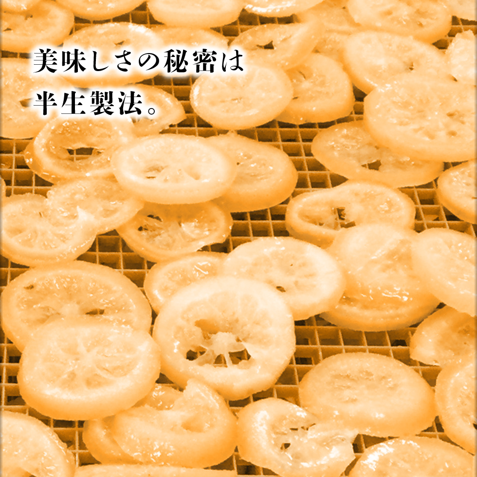 ドライフルーツレモン紅茶