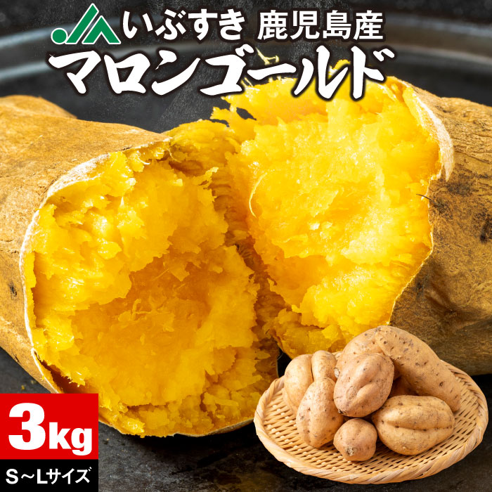 【後藤】訳あり マロンゴールド 150kg さつまいも333 後藤】訳あり マロンゴールド 150kg さつまいも333 楽天市場