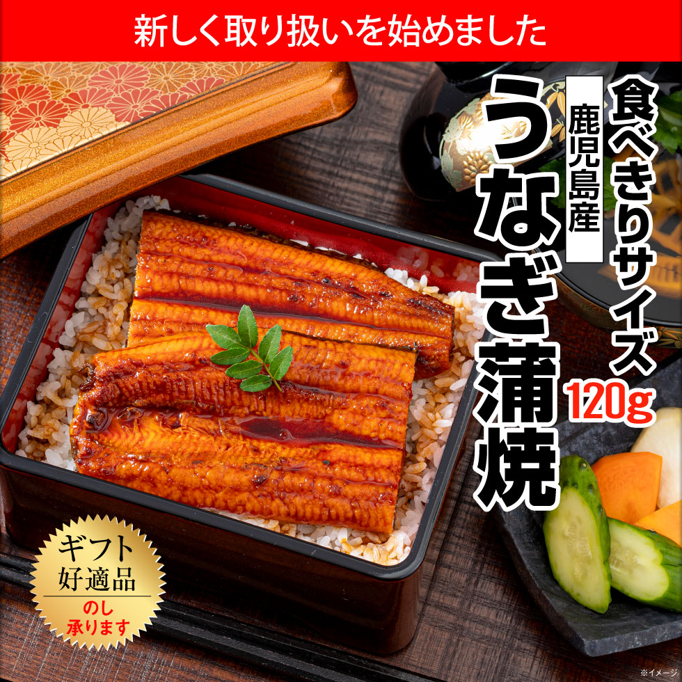 ファーストビュー