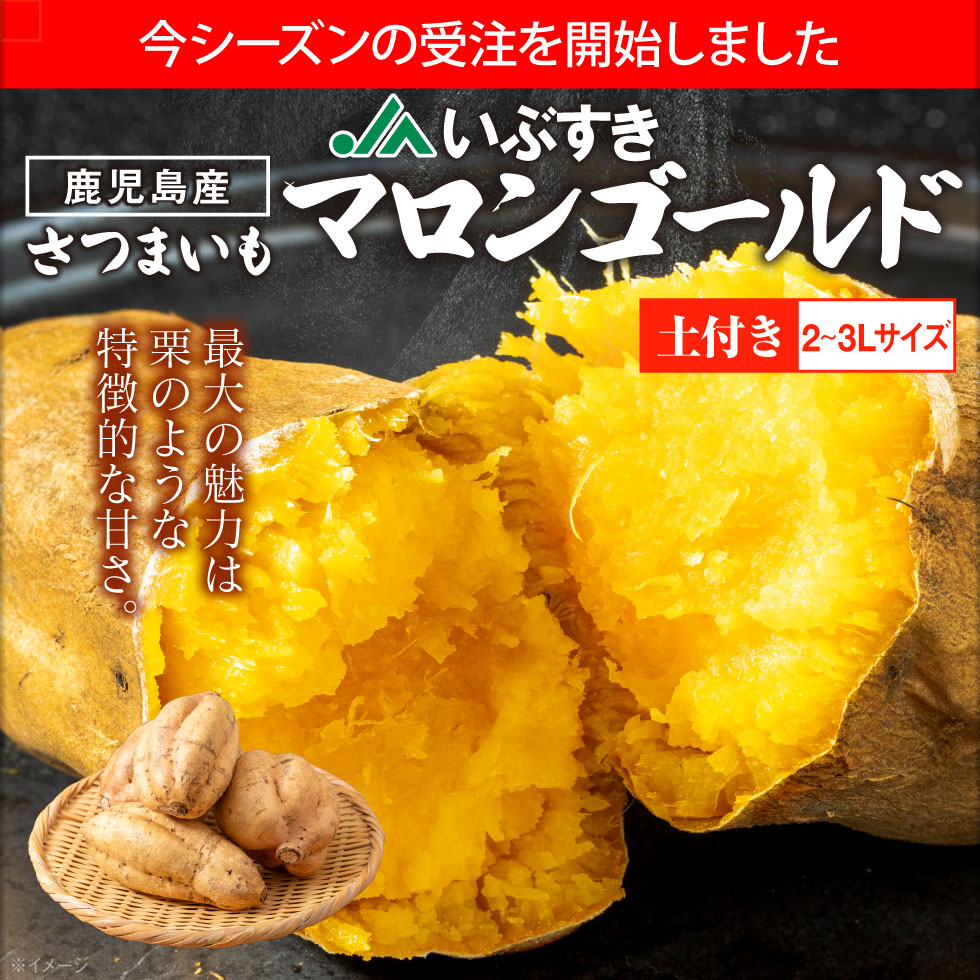 さつまいも マロンゴールド JAいぶすき 鹿児島産 生芋 2L3L 3kg 希少