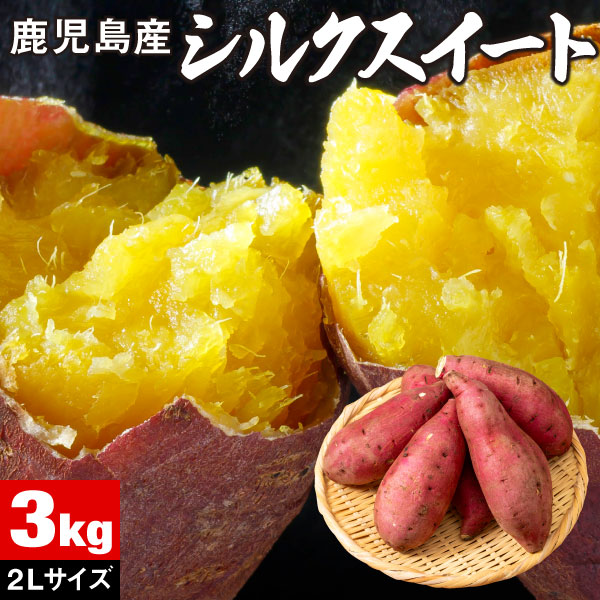 シルクスイート さつまいも 鹿児島 産地 直送 生芋 2L 6kg 送料無料