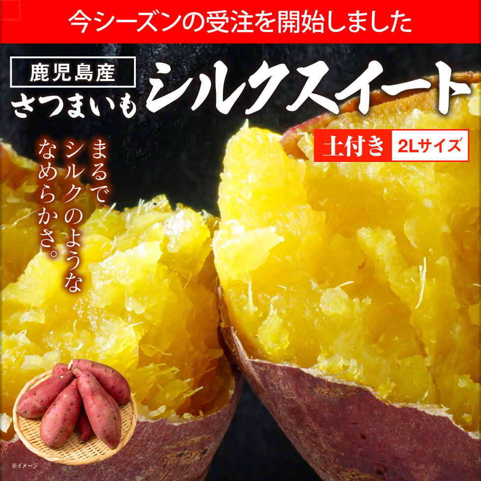 シルクスイート さつまいも 鹿児島 産地 直送 生芋 2L 6kg 送料無料