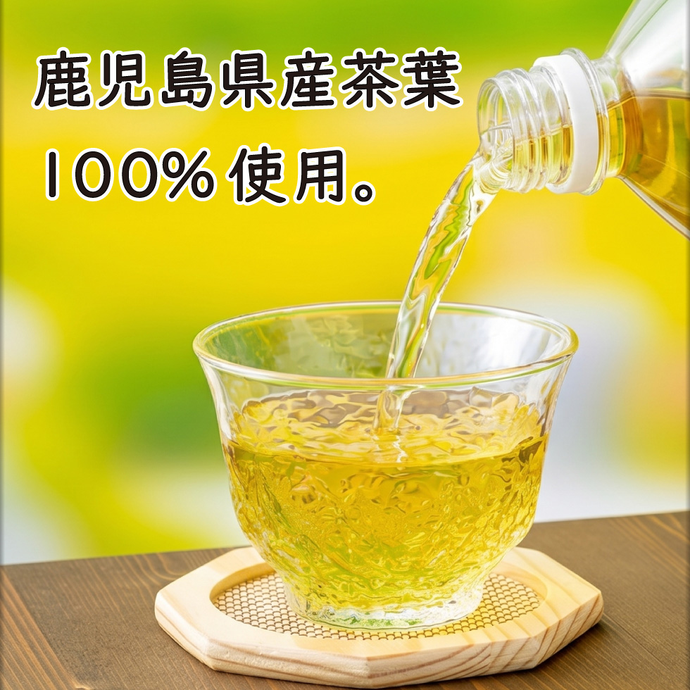 ライフドリンクカンパニー お茶 緑茶 ペットボトル 500ml 24本 1箱 LDC