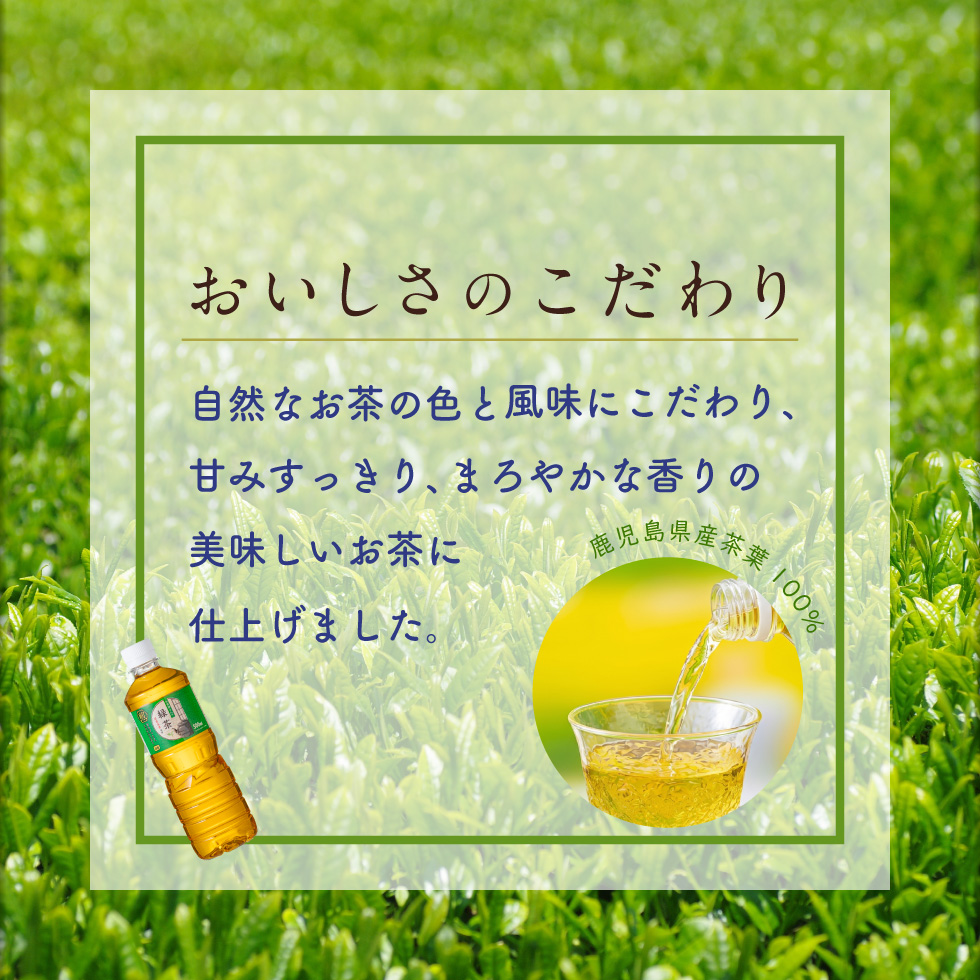 (ポイント2倍) お茶 緑茶 ペットボトル 5...の詳細画像4