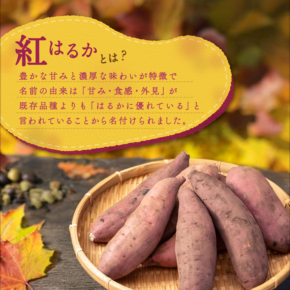 さつまいも 紅はるか 鹿児島 生芋 3kg 2...の詳細画像2