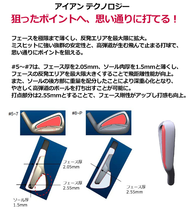 HONMA GOLF 本間ゴルフ D1 オールインワン クラブセット 10本組