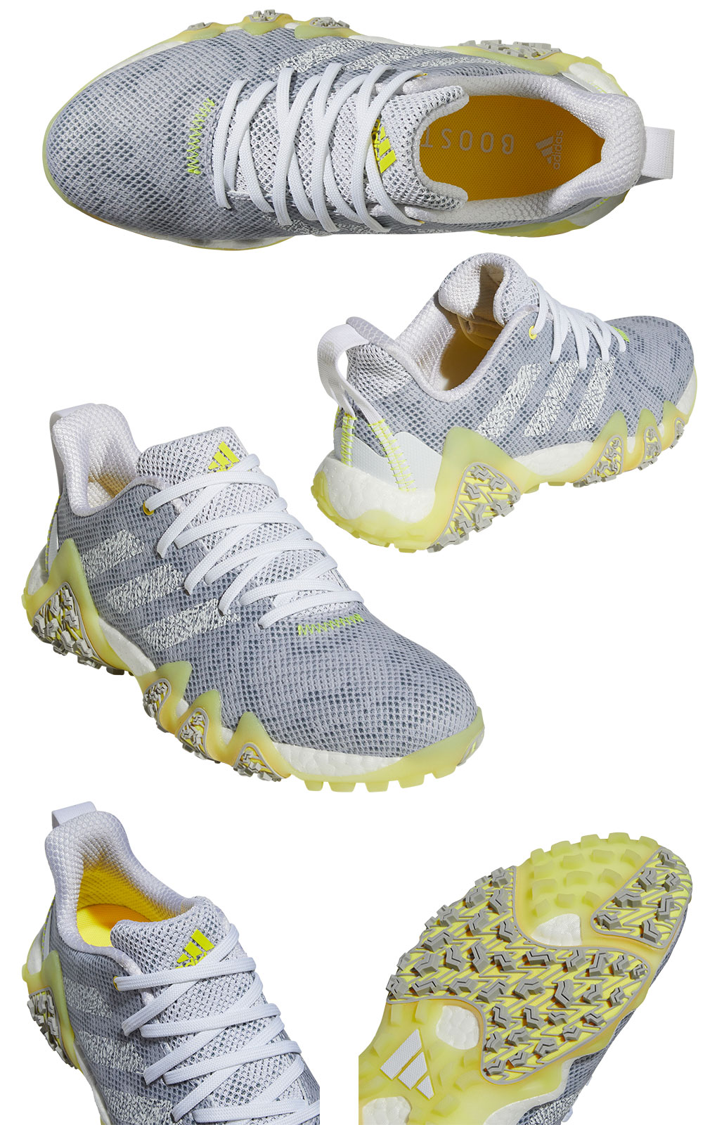 adidas アディダス ゴルフシューズ ウィメンズ コードカオス22 LVL62