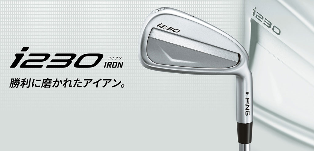 PING ピン i230 アイアン 6本セット(5-9,PW) メンズ 右用 N.S.