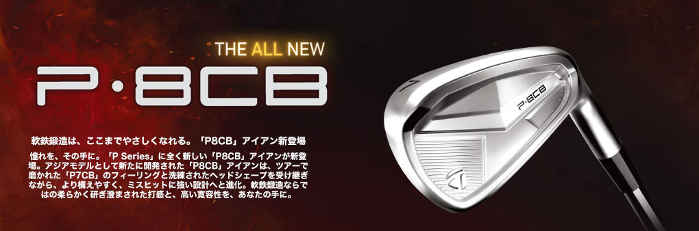 TaylorMade（テーラーメイド） P8CB アイアン 5本セット(6-9,PW