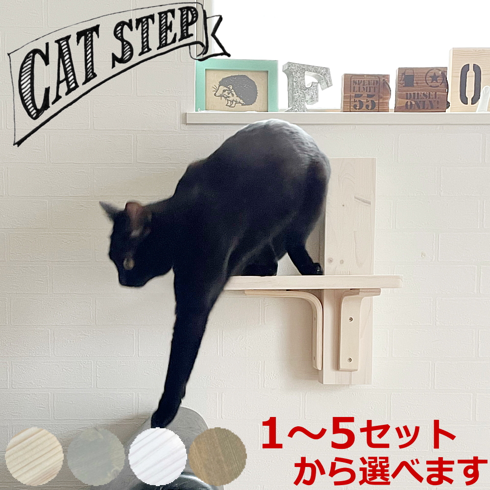 楽天市場】＼最大P15倍＆10％オフ／ 猫 ねこ ネコ キャット