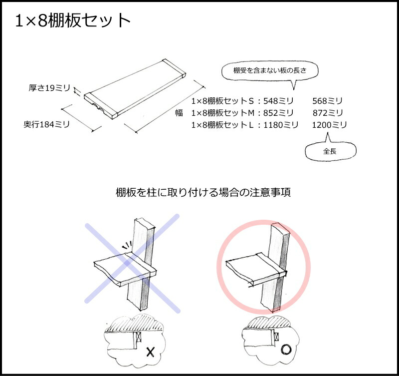 サイズ