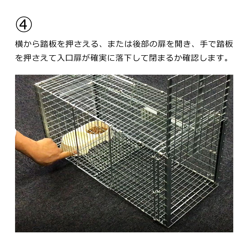 丸十金網 アニマルキャッチャー猫の保護器 【品番 