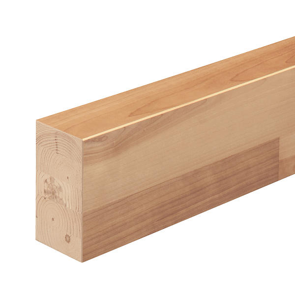 Panasonic（パナソニック） マイスターズ・ウッド玄関框 単体框 H150 6