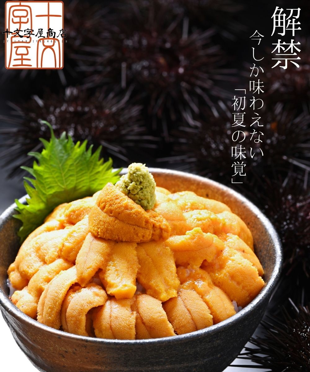 三陸産天然ムラサキウニ 塩水パック 100g×2 無添加 ミョウバン不使用 生うに 送料無料(中国 四国 九州 沖縄を除く) ウニ 