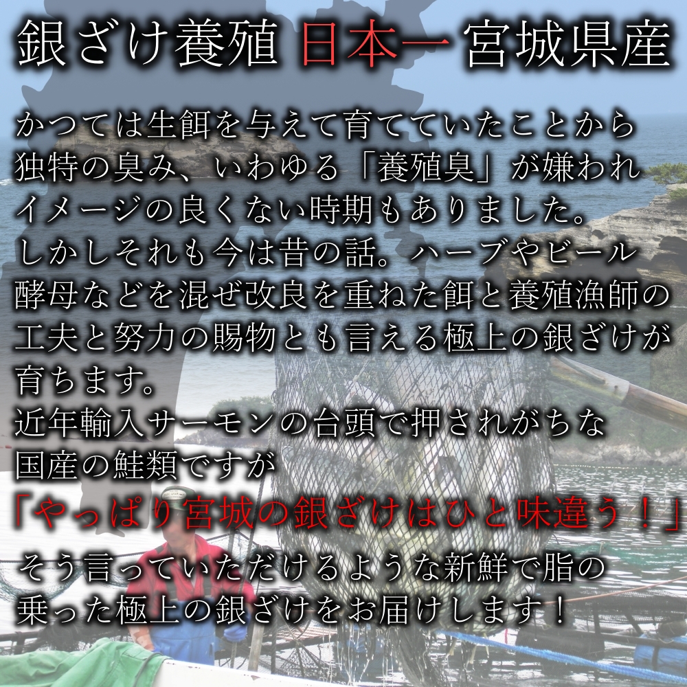 銀ざけカマ