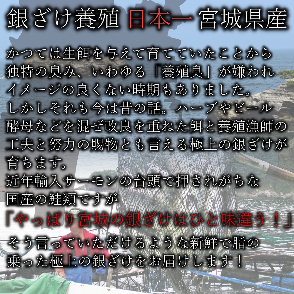 鮭 カマ 3kg 宮城県産 銀ざけ 甘口 サケ 300g×10個  銀鮭 訳あり 塩鮭 業務用 訳アリ 冷凍 無添加 国産 切り身 切身 切落し サーモン しゃけ シャケ｜jyuumonjiya｜04