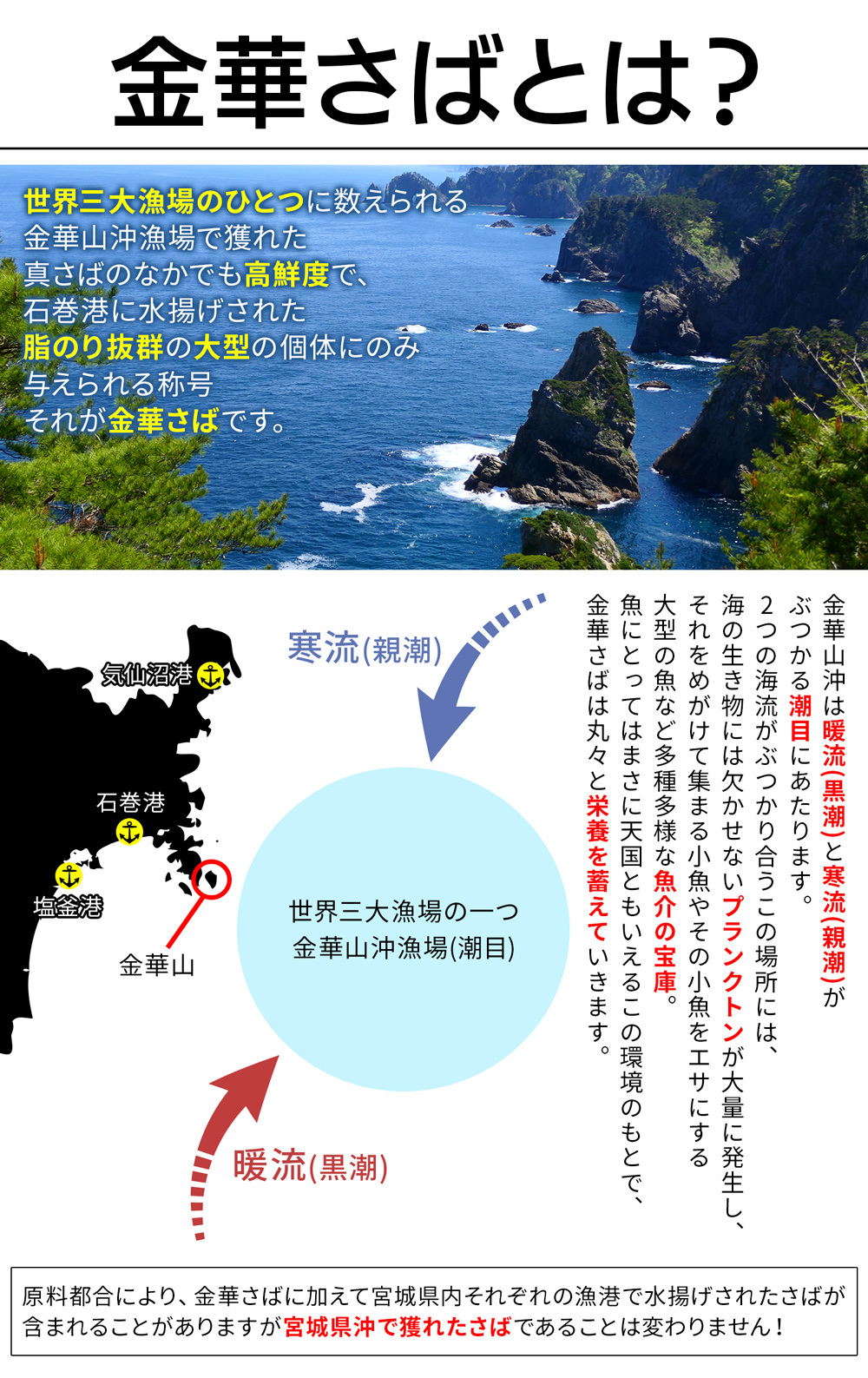 金華さば2点セット