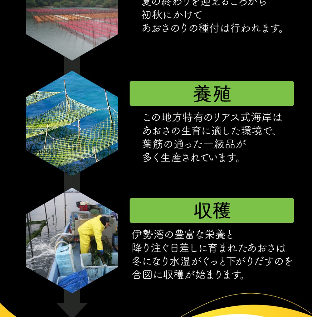 あおさのり 30g 乾燥 三重県伊勢志摩産 業務用 あおさ のり 海苔 ヒトエグサ ひとえぐさ メール便 送料無料 DM便発送  :aosa30g:十文字屋商店 Yahoo!店 - 通販 - Yahoo!ショッピング