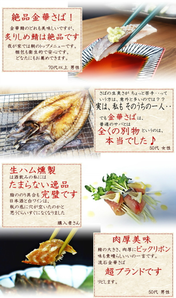 金華さば2点セット