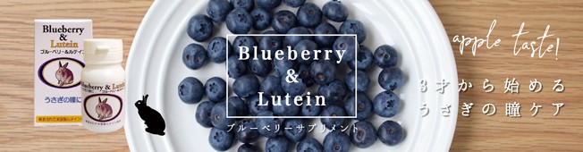 20gおまけ付き☆ アニマストラス 400g 顆粒 ANIMA STRATH 犬 ねこ