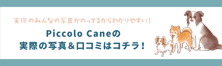  カリーノ２ CARINO2 用ドリンクホルダー 単品販売 ピッコロカーネ