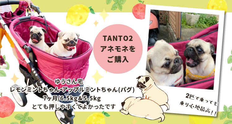 TANTO2 タント2 ピッコロカーネ 対面式ペットカート piccolocane