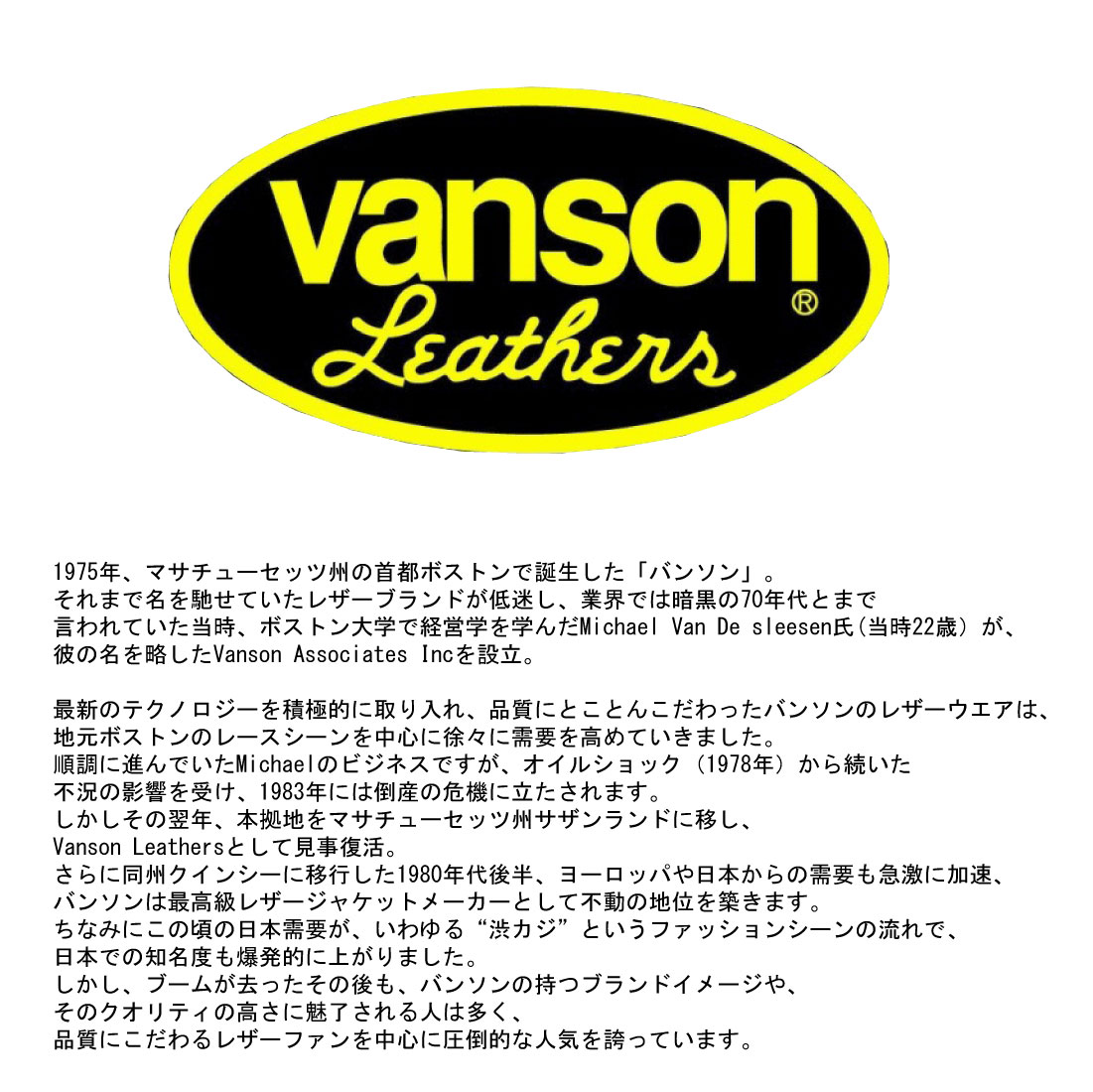 VANSON バンソン ジーンズ ウィングスカル 刺繍 USED加工 デニム