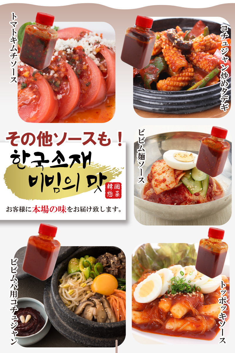 韓国料理 通販 調味料 コチュジャン