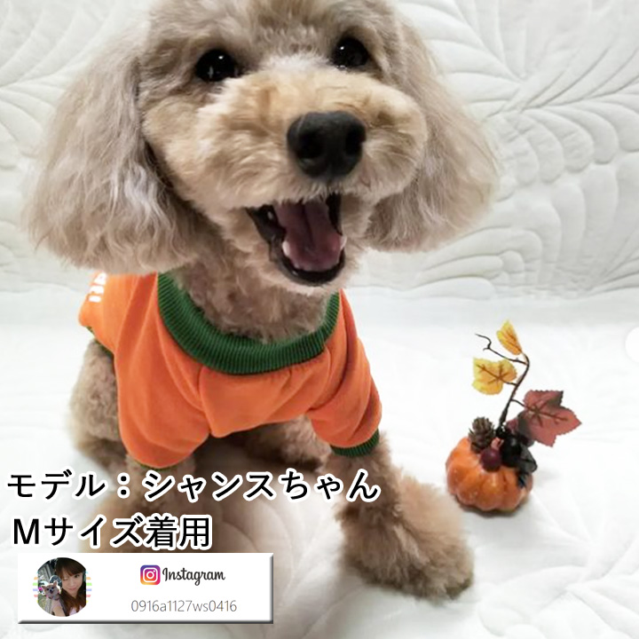 はっぴーDOG 犬 服 秋冬 秋 冬 犬服 ドッグウェア トレーナー