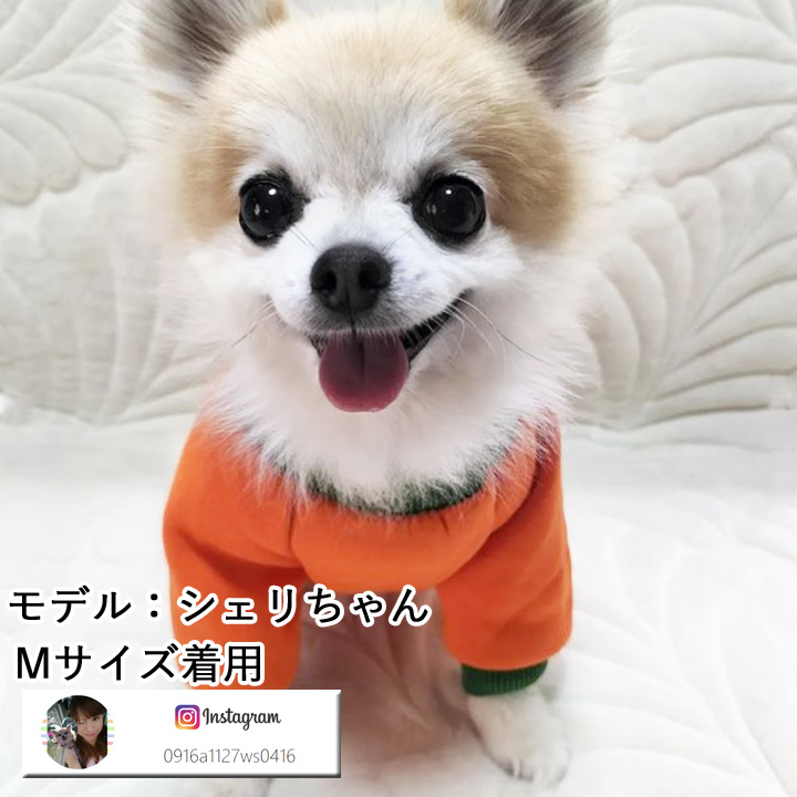 はっぴーDOG 犬 服 秋冬 秋 冬 犬服 ドッグウェア トレーナー