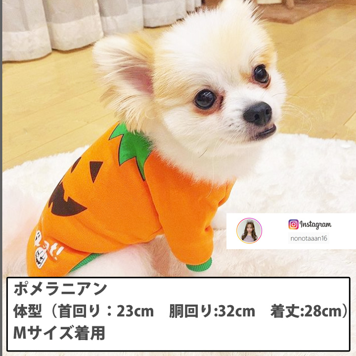 ハロウィン犬服 黒とオレンジのデザイン ハロウィン犬服 黒×オレンジスカート、リボン付き ハーネス2号ー