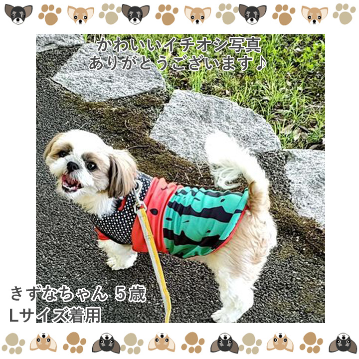 犬服 犬 人気 胴輪 リング付きおしゃれキャミワンピース 犬用 小型犬 可愛い ハーネス かわいい