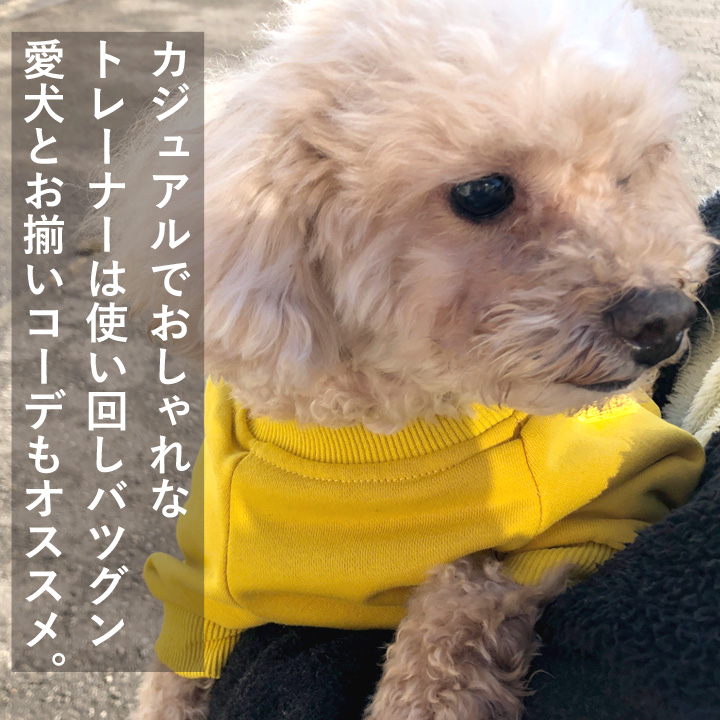 はっぴーDOG 犬服 犬 服 秋冬 秋 冬 犬の服 おしゃれ トイプードル
