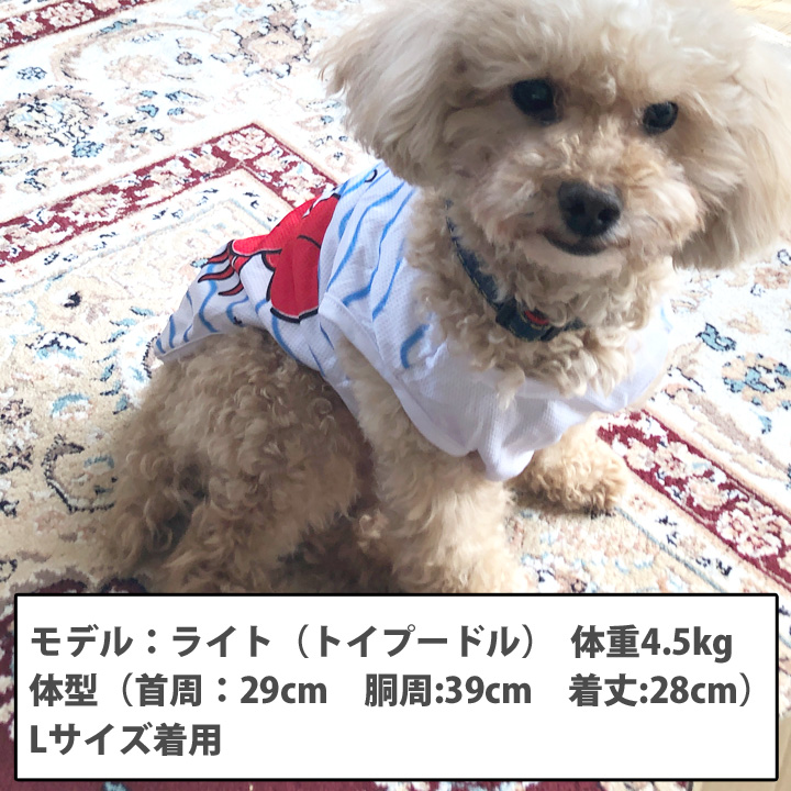 犬服ハンドメイド着ＸＸＳサイズ 楽天市場】＼店内全品対象！50％OFFクーポン！／ペットウェア 犬