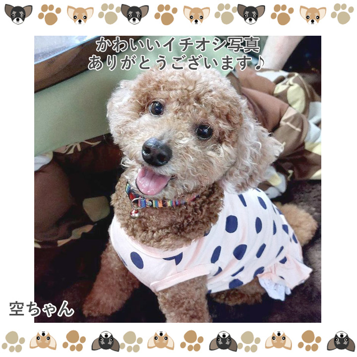 犬服 犬 人気 胴輪 リング付きおしゃれキャミワンピース 犬用 小型犬 可愛い ハーネス かわいい