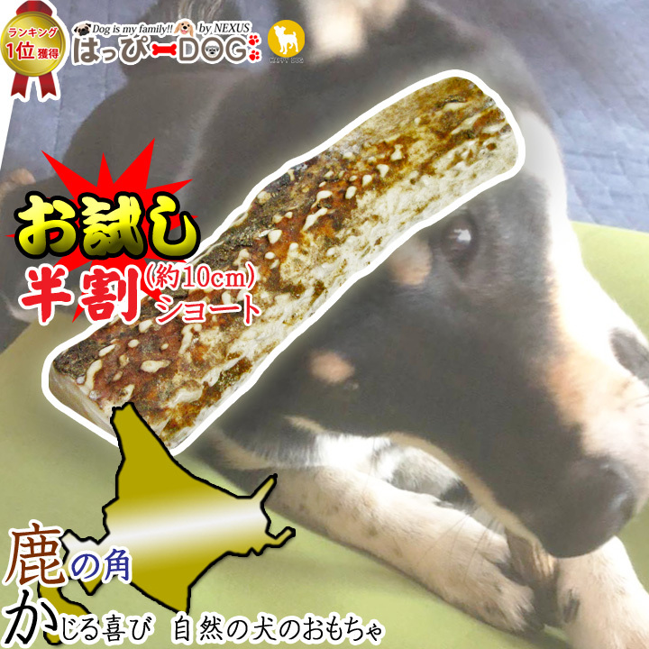 いつでも送料無料 1000円ポッキリ 犬 おもちゃ 鹿の角 半割 北海道 鹿角 犬のおもちゃ 犬用 噛む ドッグガム デンタルケア デンタル効果 口臭対策 壊れない 送料無料 Aynaelda Com