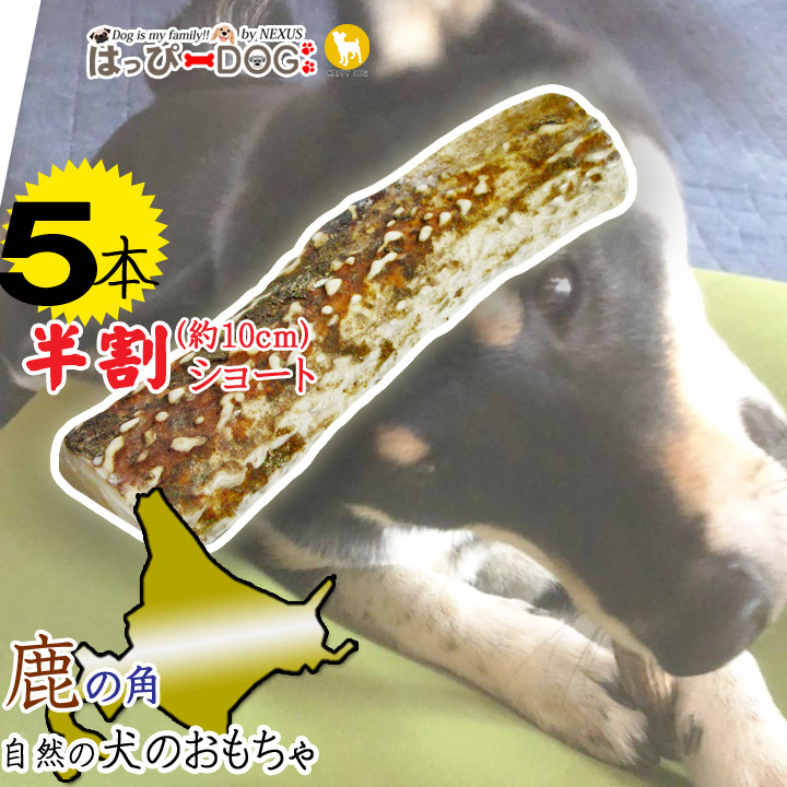 はっぴーDOG 5本セット 犬 おもちゃ 鹿の角 半割 北海道 鹿角 犬の