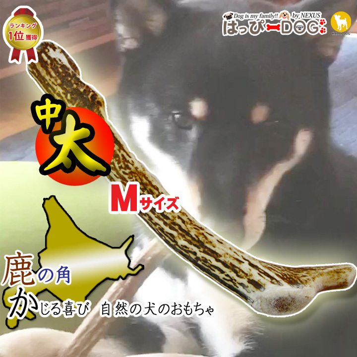 はっぴーDOG 犬 おもちゃ 鹿の角 Mサイズ 北海道 鹿角 犬のおもちゃ 犬