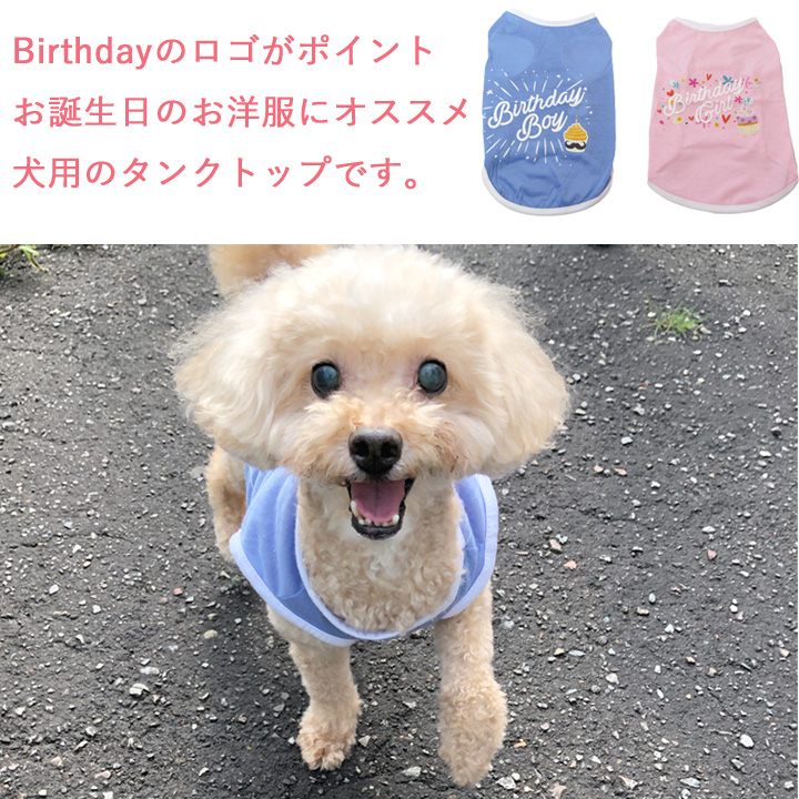 犬服 ジャケット ふわふわ 男の子女の子兼用 秋冬 Lサイズ k-city_md09171