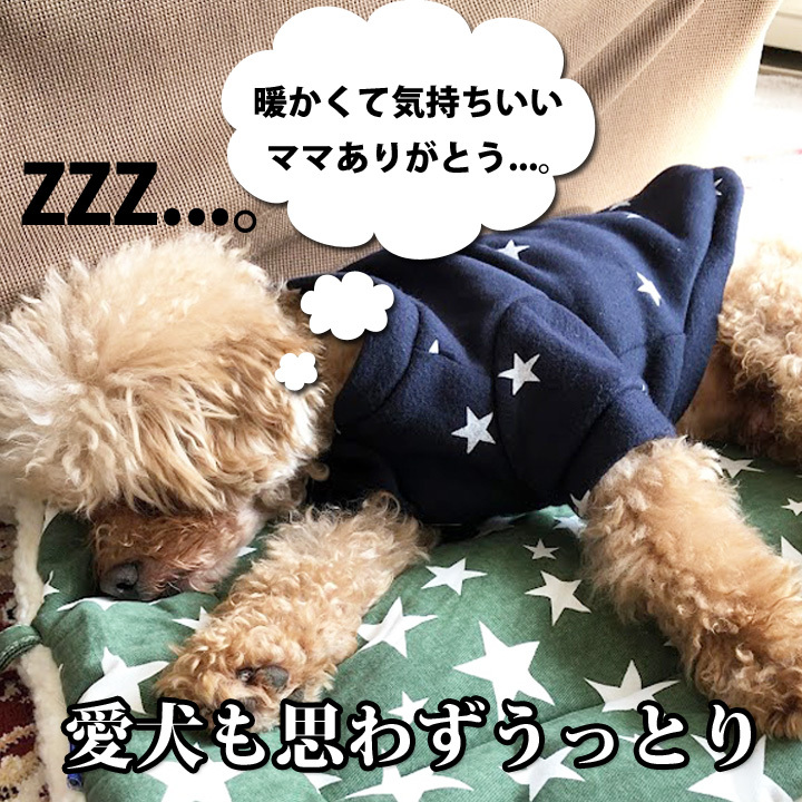 はっぴーDOG 犬服 トイプードル 犬 服 秋冬 秋 冬 犬の服 おしゃれ