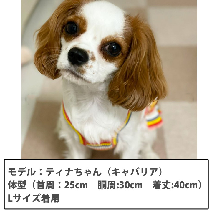 犬服 犬の服 ハンドメイド さくらんぼ フリル タンクトップ 犬用品