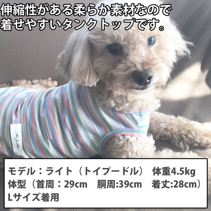 はっぴーDOG 犬 服 秋冬 秋 冬 夏 1000円ポッキリ 犬服 犬の服