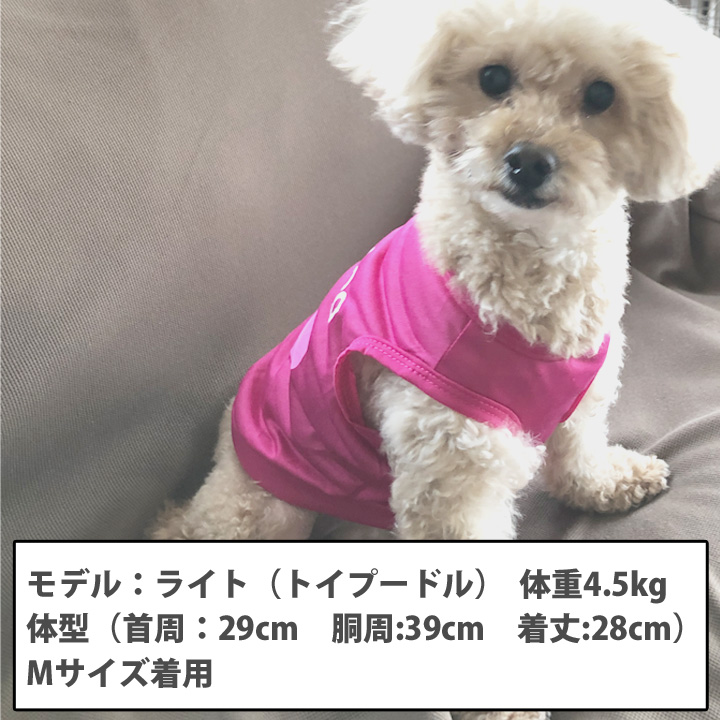はっぴーDOG 犬 服 夏 犬服 犬の服 おしゃれトイプードル チワワ