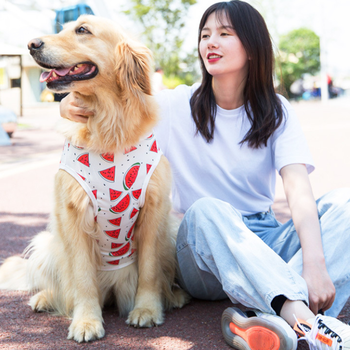はっぴーDOG 犬 服 夏 大型犬 タンクトップ ソフトメッシュ スイカ柄