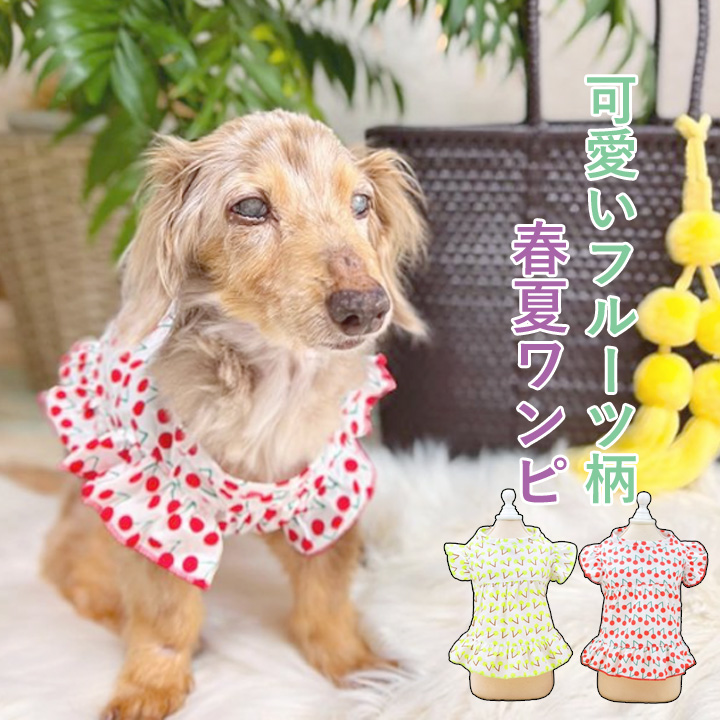 Tシャツ レディース カットソー ストレッチ ワンコ トップス マルチーズ プードル チワワ 犬 キャラクター ドッグ かわいい カワイイ 可愛い ピンク Tシャツ レディース カットソー ストレッチ ワンコ トップス