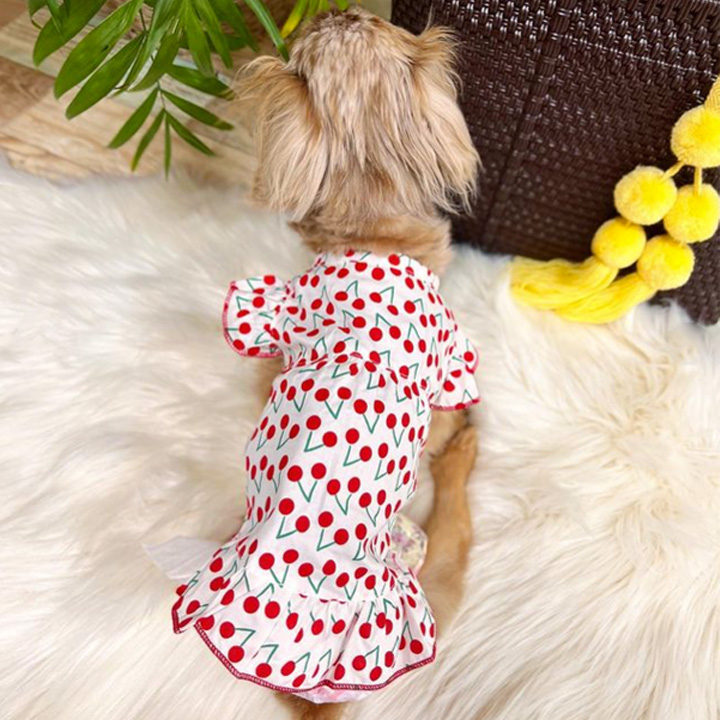 ミーシャページ②です　ダックスフンド　犬服　わんこ服　ワンピース md106291dax.jpg