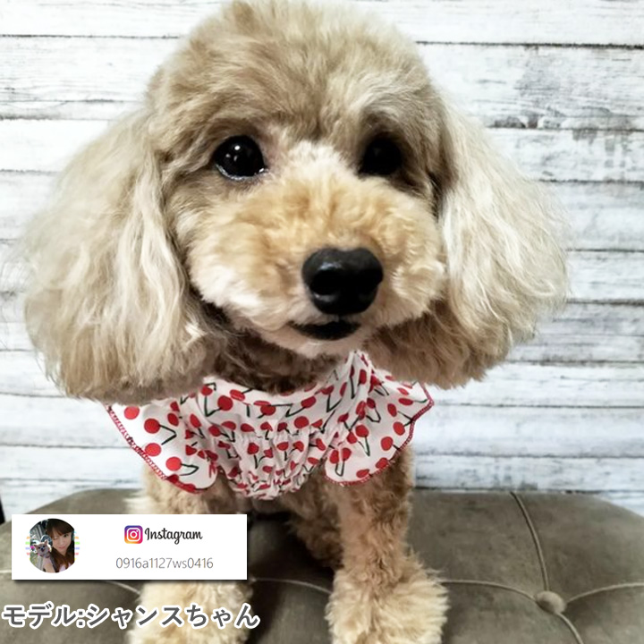 ハンドメイド犬服・シンプルベリー柄・ギャザーたっぷりワンピース はっぴーDOG トイプードル 服 犬 カットソー ワンピース かわいい